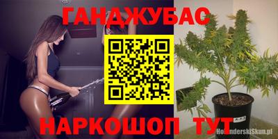 крисы Бузулук