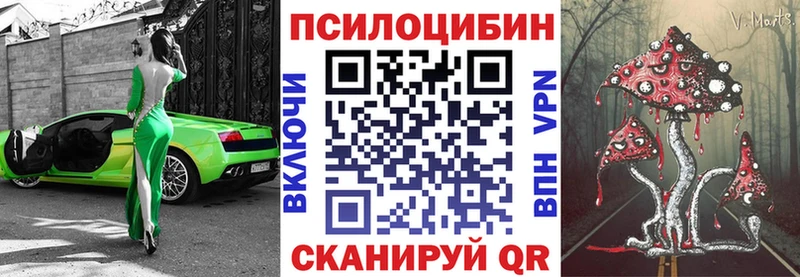 Псилоцибиновые грибы Cubensis  магазин    Брянск 