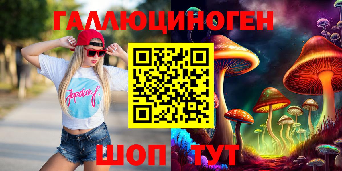 Псилоцибиновые грибы Psilocybe Брянск