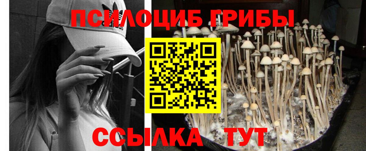 Галлюциногенные грибы мухоморы  Псилоцибиновые грибы мухоморы  Брянск 
