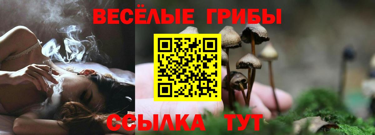 сколько стоит  Вход с VPN  Брянск  Галлюциногенные грибы MAGIC MUSHROOMS 