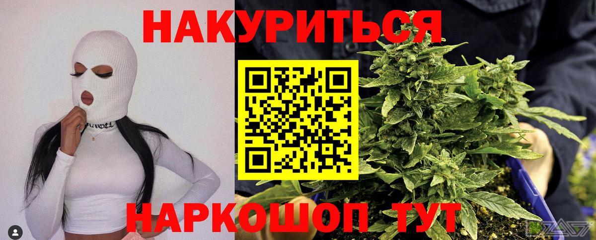 Бошки Шишки сатива Брянск